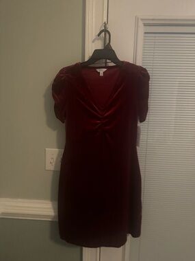 Time and Tru Burgundy Velvet V-Neck Mini Dress